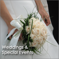 Weddings and Special Events